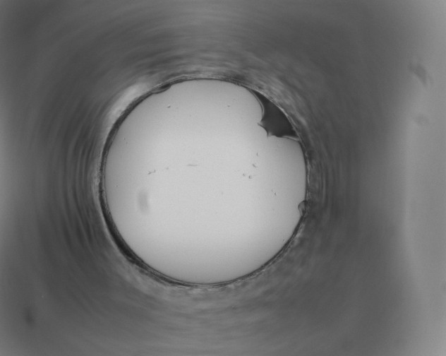 X0000113910003200910081859