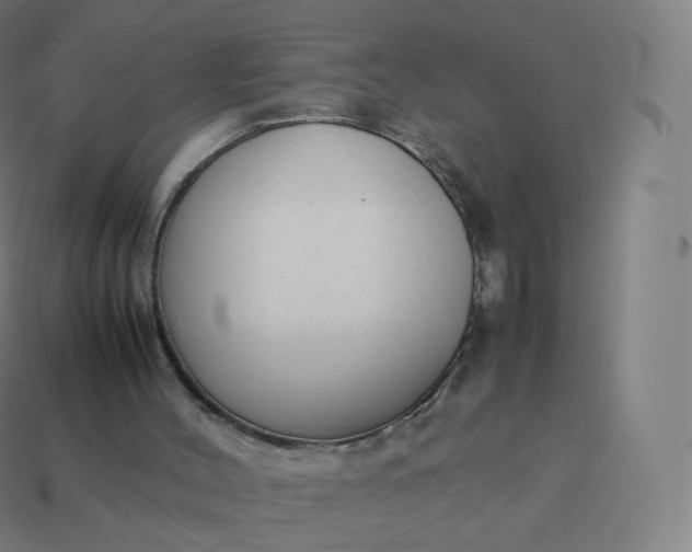 X0000113910004200910081859