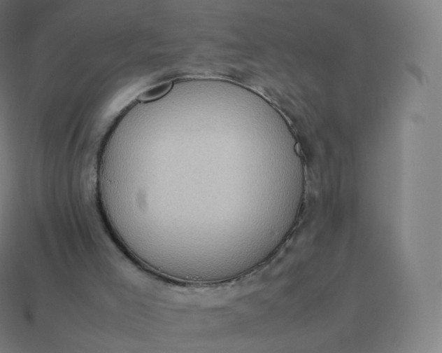 X0000113910005200910081859