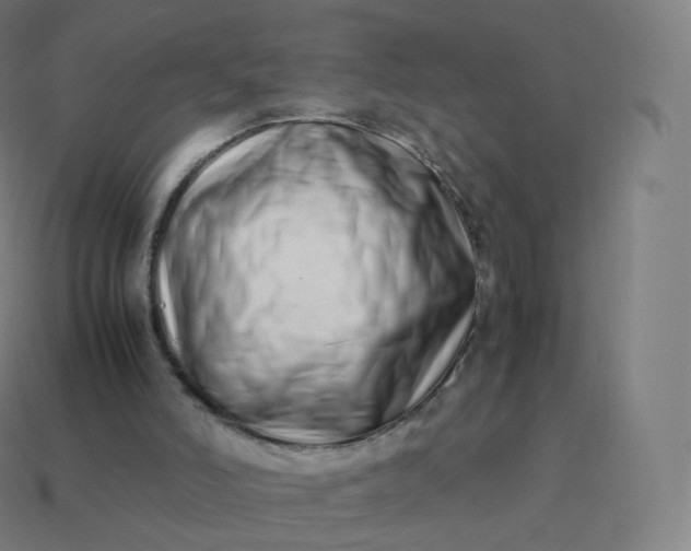 X0000113910006200910081859