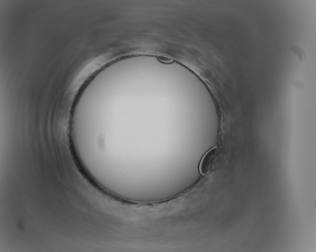 X0000113910007200910081859