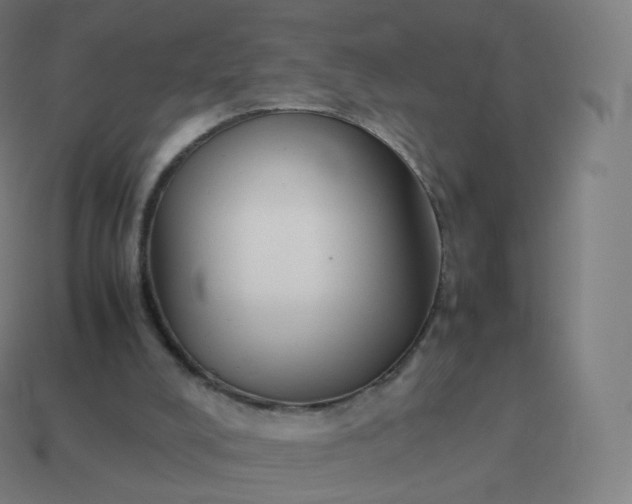 X0000113910008200910081859