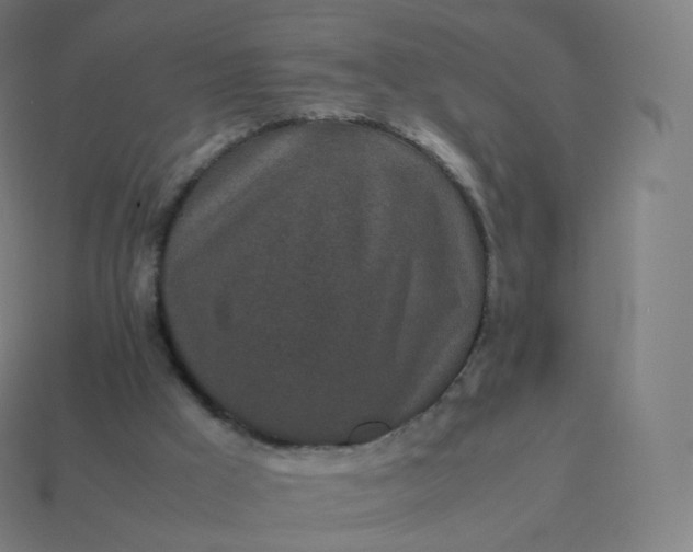 X0000113910009200910081859