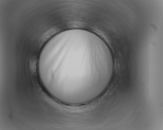 X0000113910010200910081859