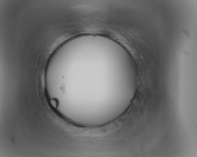 X0000113910011200910081859