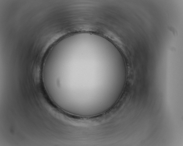 X0000113910012200910081859