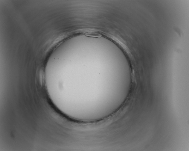 X0000113910013200910081859