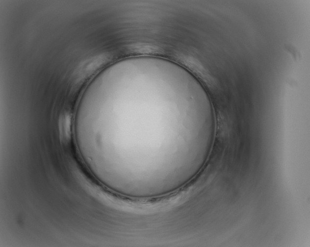 X0000113910014200910081859