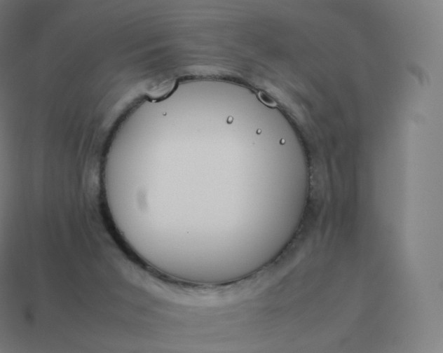 X0000113910015200910081859