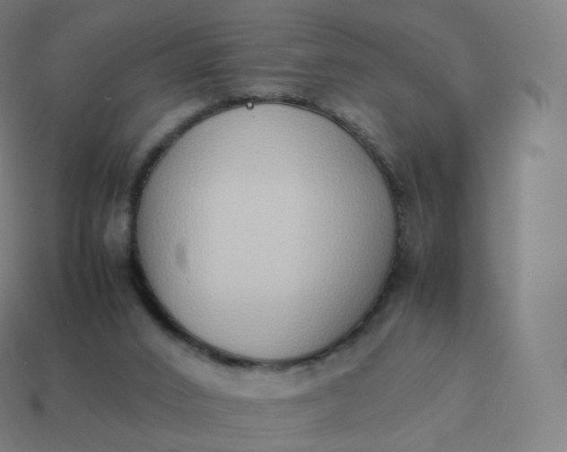 X0000113910016200910081859