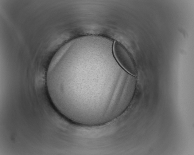 X0000113910017200910081859