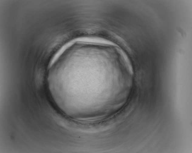 X0000113910018200910081859