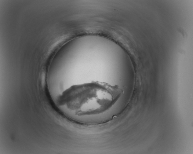 X0000113910019200910081859