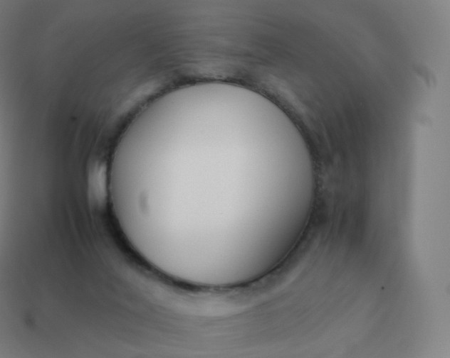 X0000113910020200910081859