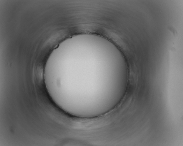 X0000113910021200910081859