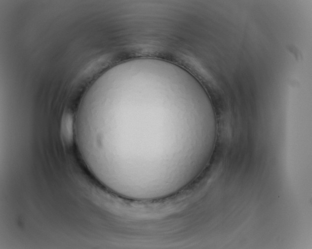 X0000113910022200910081859