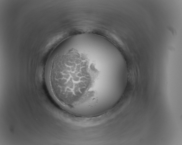 X0000113910023200910081859