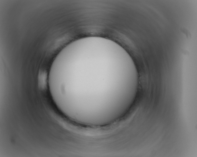 X0000113910024200910081859