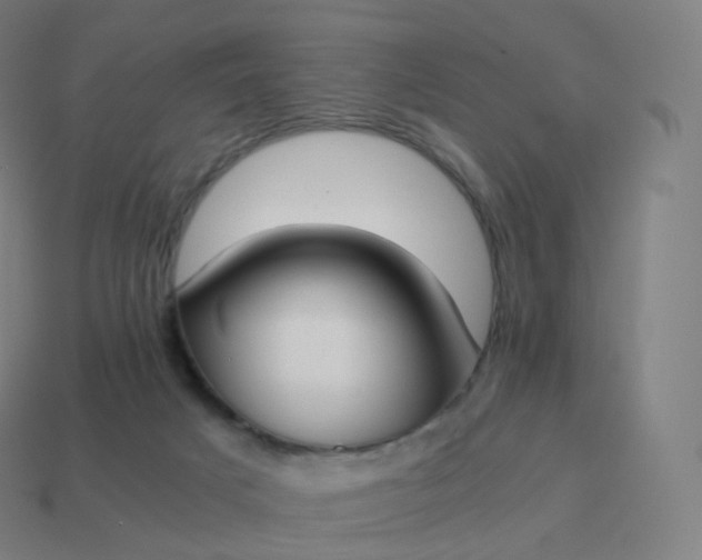 X0000113910025200910081859