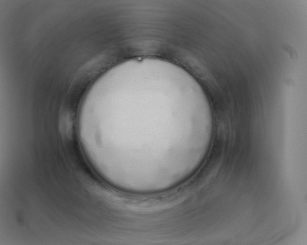 X0000113910026200910081859