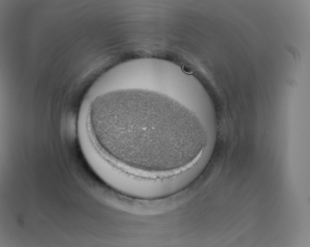 X0000113910027200910081859