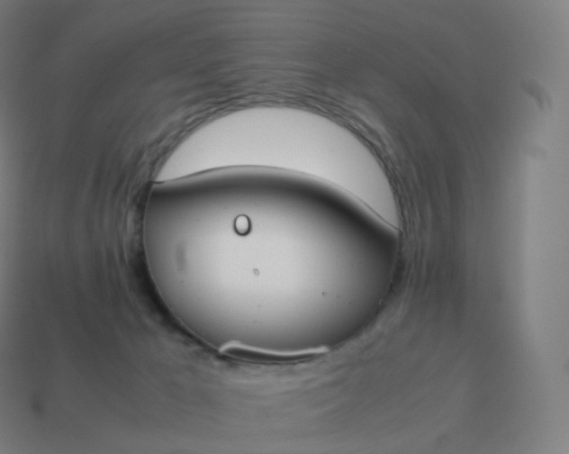 X0000113910029200910081859