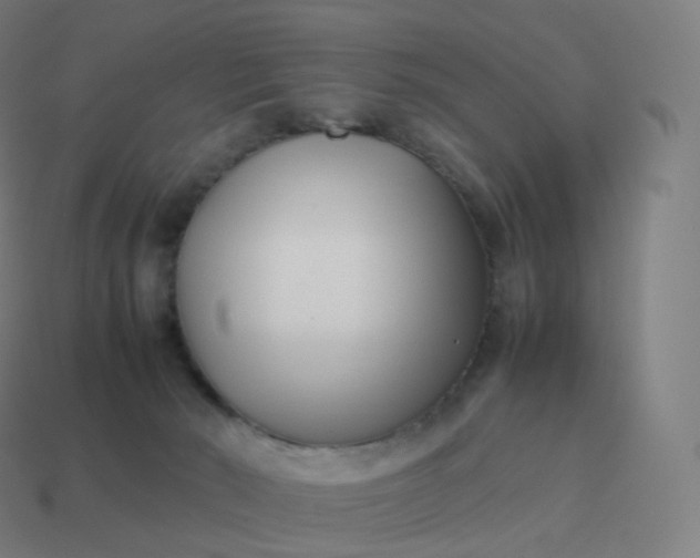 X0000113910030200910081859