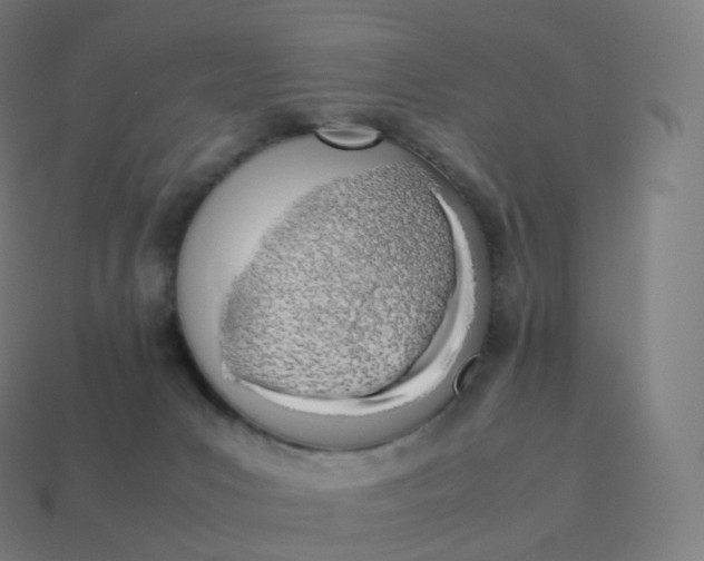 X0000113910031200910081859