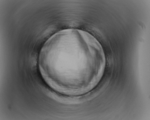 X0000113910032200910081859