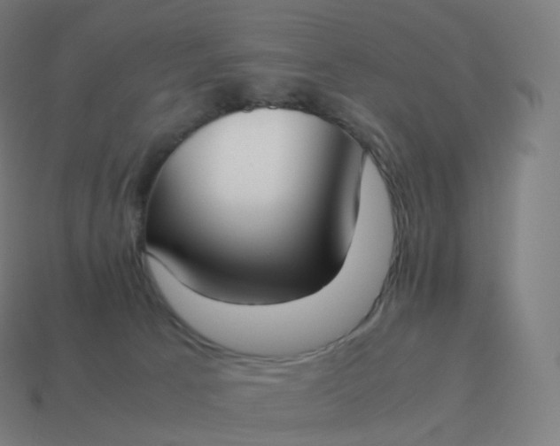 X0000113910033200910081859