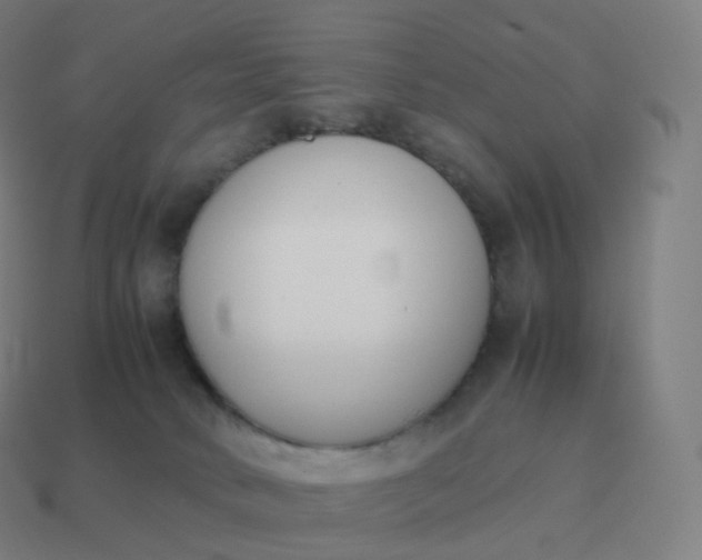 X0000113910034200910081859