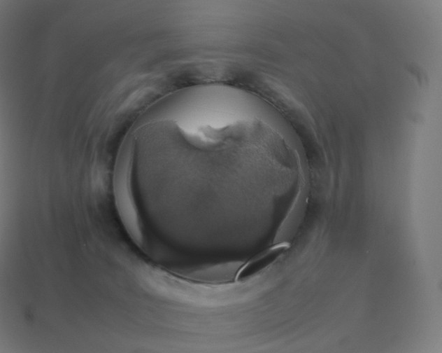 X0000113910035200910081859