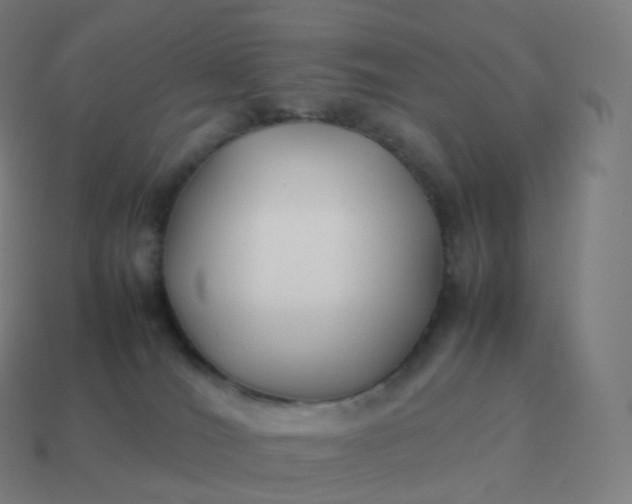 X0000113910036200910081859