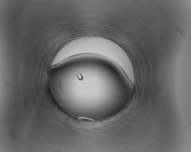 X0000113910037200910081859