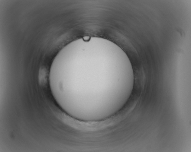 X0000113910038200910081859