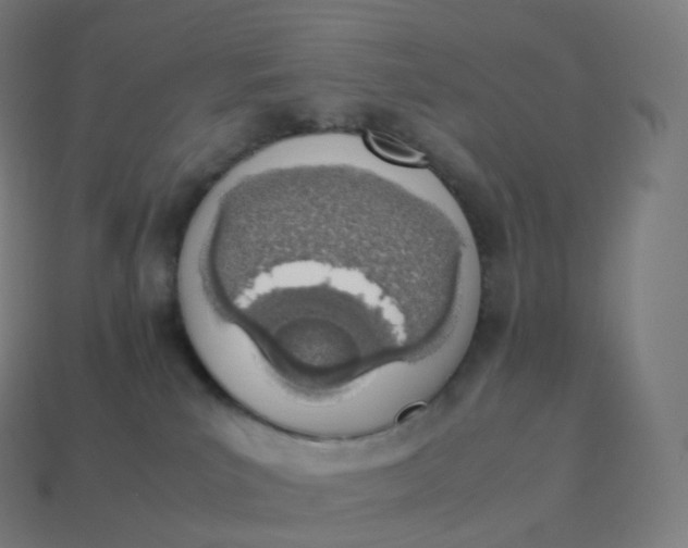 X0000113910039200910081859