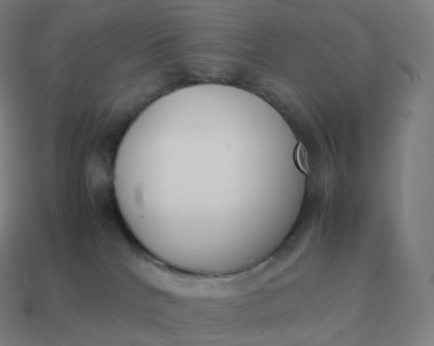 X0000113910040200910081859