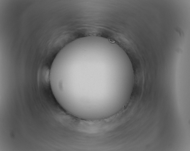 X0000113910041200910081859