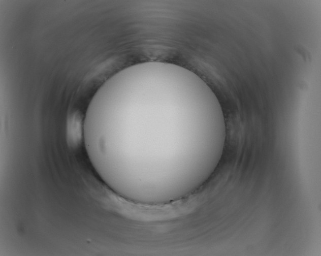 X0000113910042200910081859