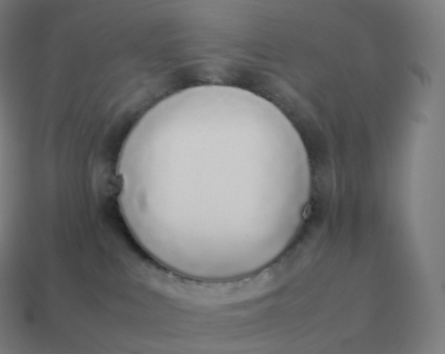 X0000113910043200910081859