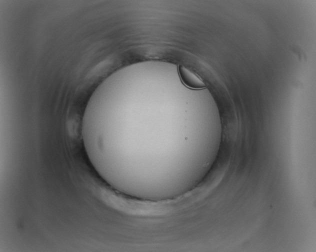 X0000113910044200910081859