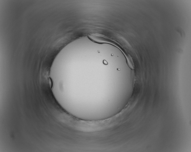 X0000113910045200910081859