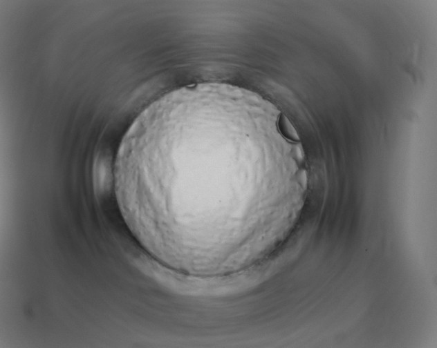 X0000113910046200910081859