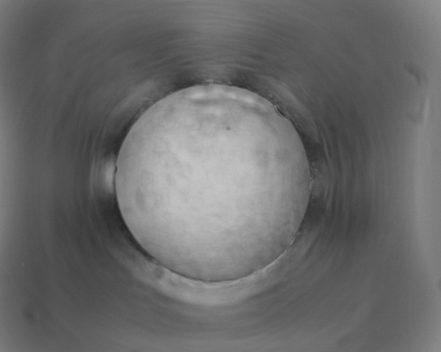 X0000113910047200910081859