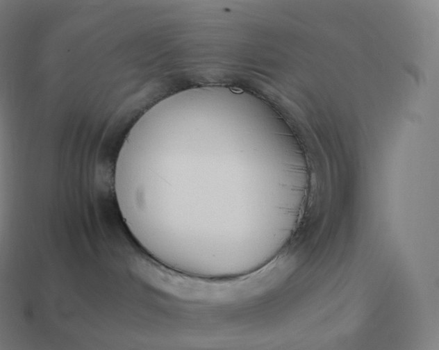 X0000113910048200910081859