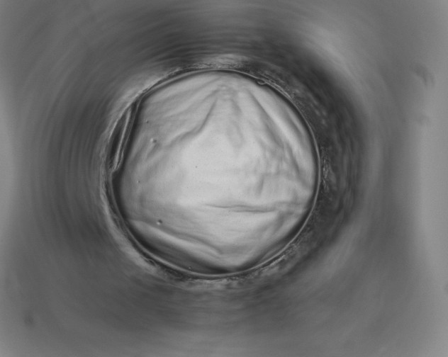 X0000113910049200910081858