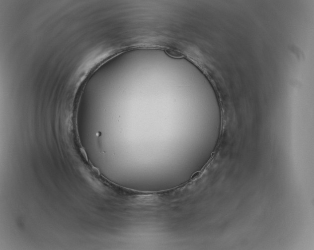 X0000113910050200910081858