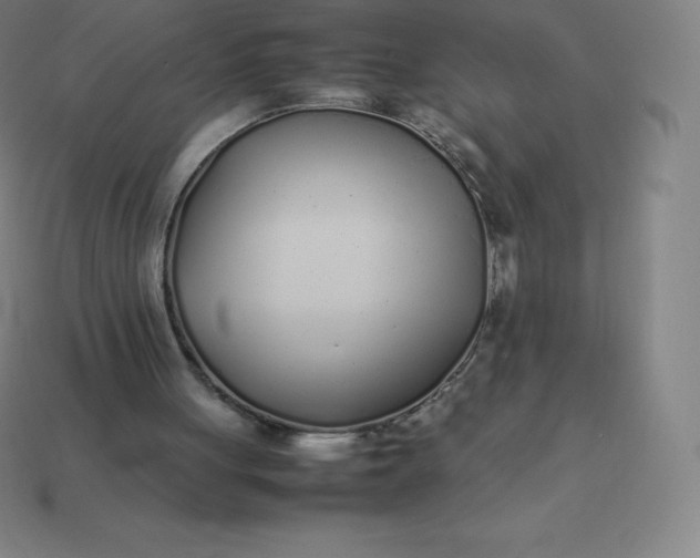 X0000113910051200910081858