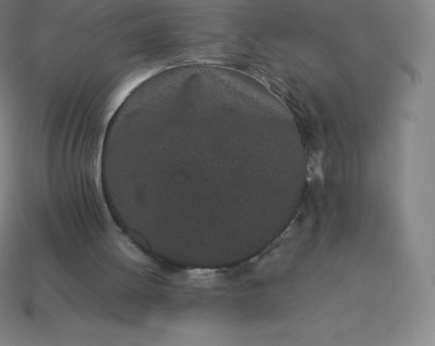 X0000113910052200910081858