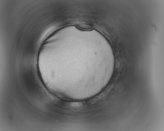 X0000113910053200910081858